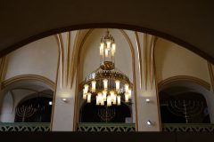 DSC07151
