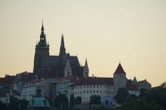 DSC07196