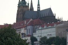 DSC07203