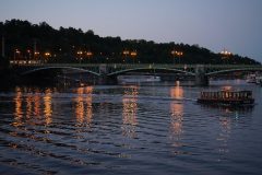 DSC07219