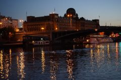 DSC07229