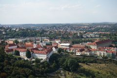 DSC07384